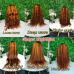 Uglam Ginger Highlight 4/350 13X4 Transparent Lace Front  Wig Human hair